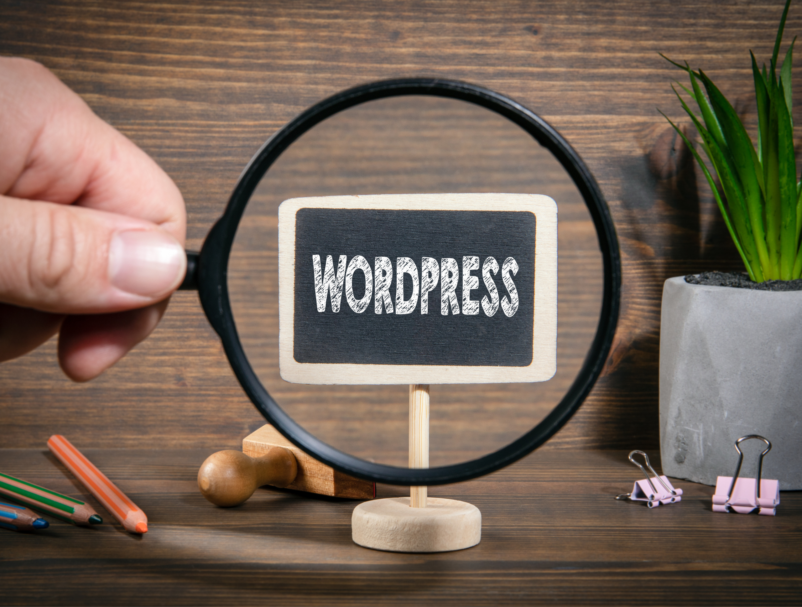 WordPress - The Scalability Secret: Why Small Startups and Global Enterprises Both Choose