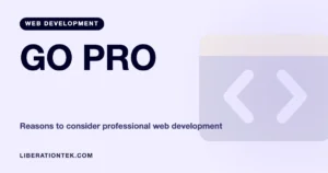 Professional Web Development