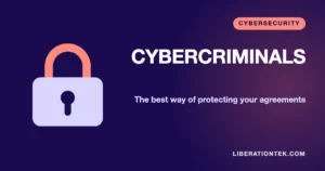 Cybercriminals