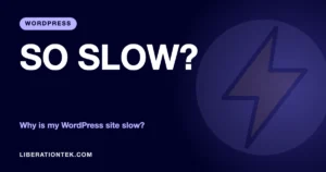 why is my wordpress site so slow