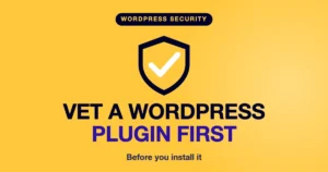 vetting a WordPress plugin