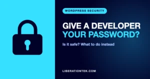 give a developer wordpress access