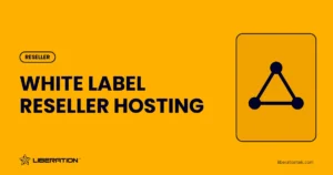 White Label Reseller Hosting: 7 Easy Setup Steps (Own Brand)